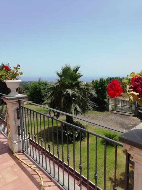 Zafferana Etnea:Honey extraction workshop and honey tasting - Accessibility & Practical Tips