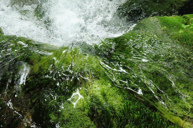 Zagreb airport or Zagreb to Split via Plitvice lakes for singles or couples - What Could Be Better?