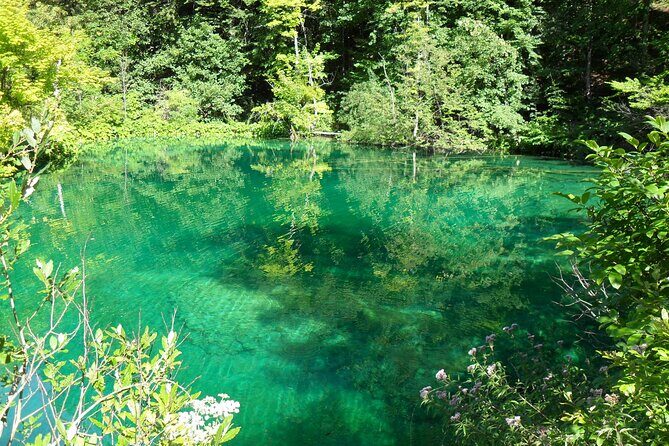 Zagreb airport or Zagreb to Split via Plitvice lakes for singles or couples - Who is This Tour Perfect For?