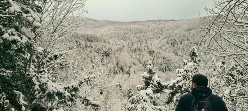 Zagreb Hike & Taste: City, Nature Park, Castle, Local Dishes - Key Points