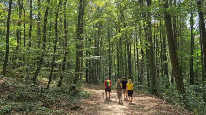 Zagreb Hike & Taste: City, Nature Park, Castle, Local Dishes - FAQ