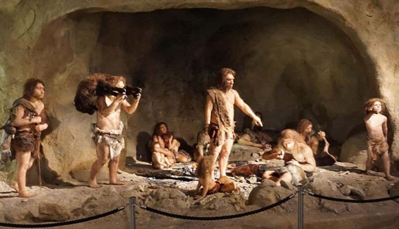 Zagreb: Krapina Neanderthal Museum & Trakoan Castle Tour - An In-Depth Look at the Tour Experience