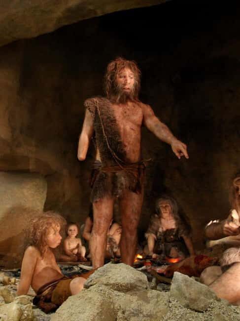 Zagreb: Krapina Neanderthal Museum & Trakoan Castle Tour - Who Is This Tour Best For?