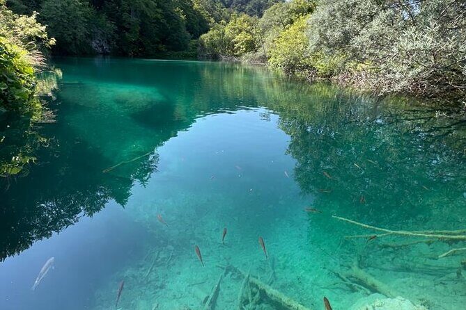 Zagreb: Plitvice Lakes With Secured Tickets, Boat And Train Ride - Why Travelers Rave About This Tour