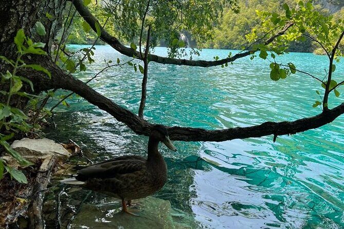 Zagreb: Plitvice Lakes With Secured Tickets, Boat And Train Ride - FAQ