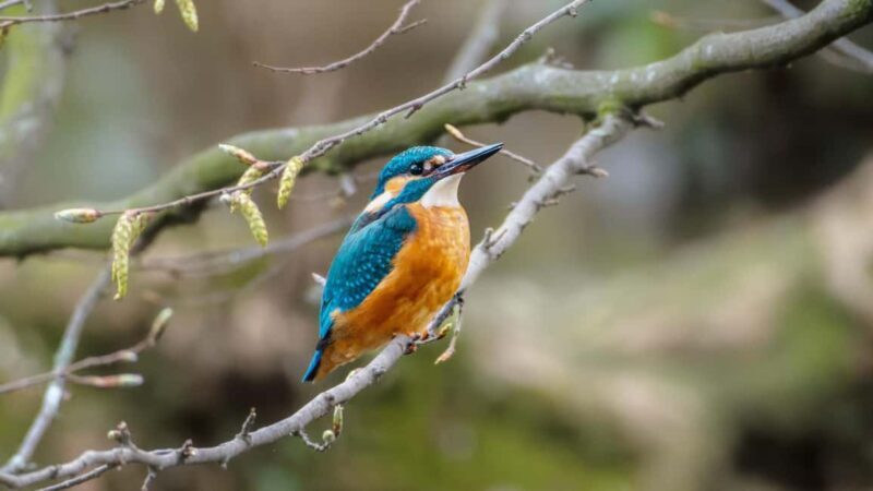 Zagreb: Science Tours, Zagreat Outdoors - Exploring Zagreb’s Hidden Natural Charm: Science Tours with Zagreat Outdoors
