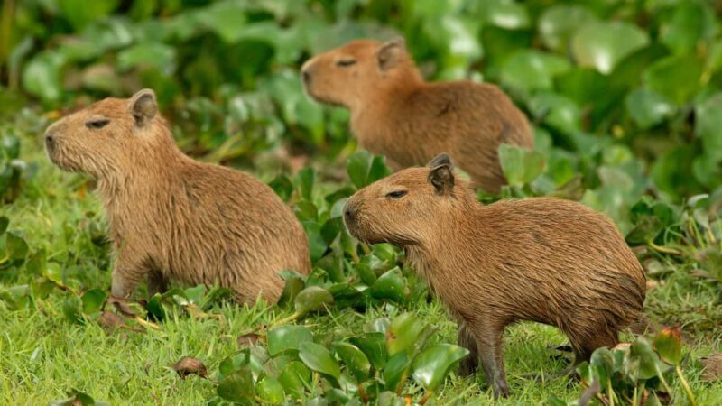 Zagreb: Science Tours, Zagreat Outdoors - What to Expect: A Relaxed, Informative, and Flexible Tour