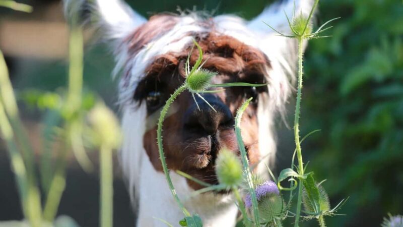 Zagreb: Science Tours, Zagreat Outdoors - Why This Tour Offers Great Value