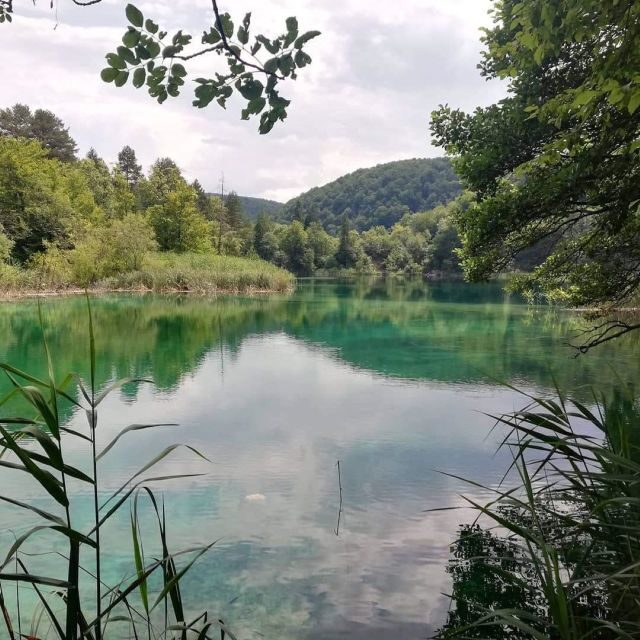 Zagreb to Split: Private Transfer with Plitvice Lakes - Practical Insights and Tips