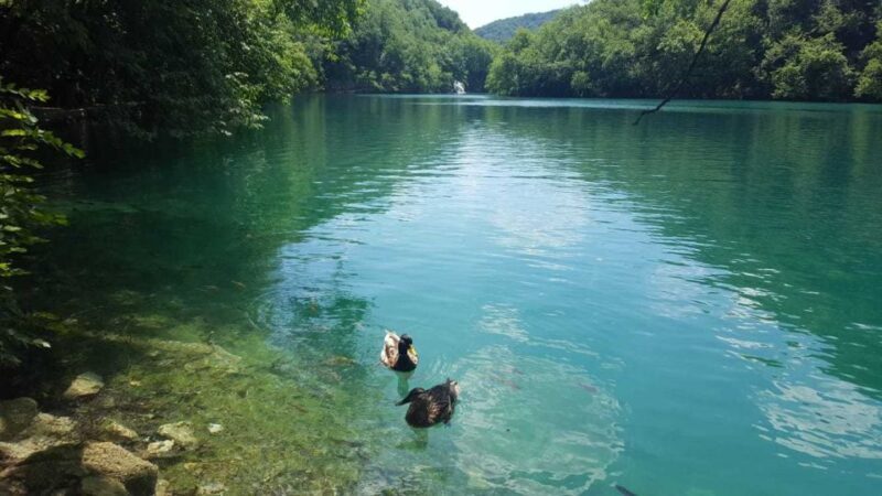 Zagreb to Split: Private Transfer with Plitvice Lakes - Final Thoughts: Is This Tour Right for You?