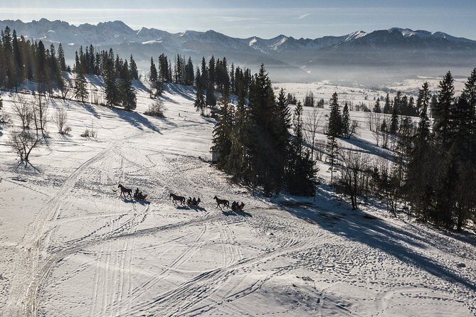 Zakopane and Horse Sleigh Ride in the countryside, private tour from Krakow - Who Is This Tour Best For?