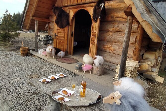 Zakopane and Hot Baths Private Tour from Krakow with tickets - Who Should Book This Tour?