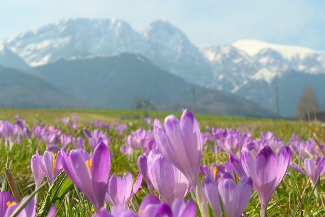 Zakopane and Tatras Mountains Day Tour from Krakow - FAQ
