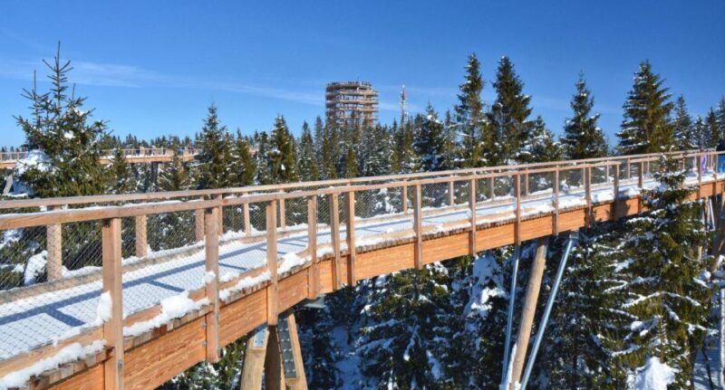 Zakopane: Bachledka Treetop Walk and Strbske Pleso Tour - The Itinerary in Detail