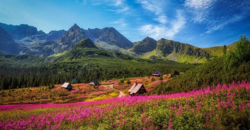 Zakopane: Private City Tour - Exploring Zakopane: What You’ll Experience