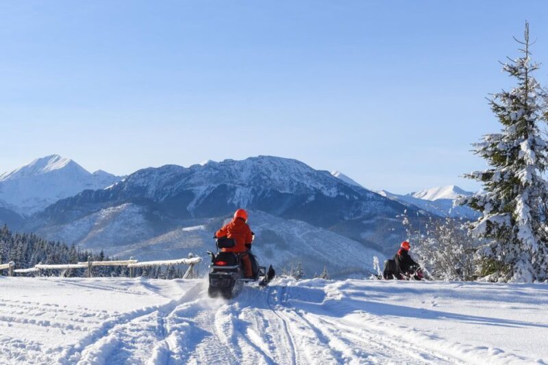 Zakopane: Snowmobiles Expedition and Optional Bonfire - A Deeper Look: What to Expect on Your Snowmobile Adventure