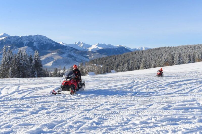 Zakopane: Snowmobiles Expedition and Optional Bonfire - Authentic Insights from Reviews