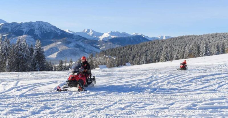 Zakopane: Snowmobiles Expedition and Optional Bonfire - Who Should Consider This Tour?