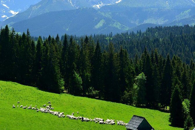ZAKOPANE & THERMAL SPRINGS, Funicular, Cheese Tasting - Zakopane: The Heart of Polish Mountain Culture