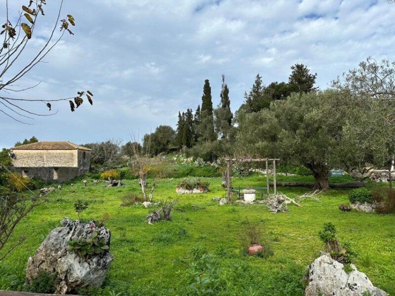 Zakynthos 4x4 off-road experience with Lunch - Exploring Zakynthos in a 4x4: An Off-Road Adventure with Lunch