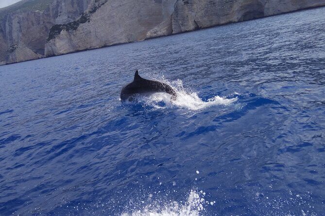 Zakynthos All Day Tour Shipwreck beach, view point-Blue Caves - A Deep Dive into the Zakynthos All Day Tour Experience