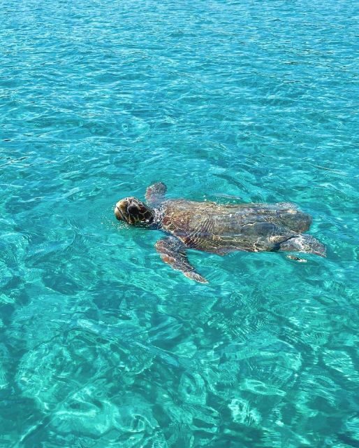 Zakynthos: Boat Rental - Key Points