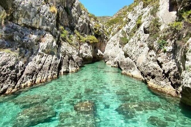 Zakynthos Private Cruise to Shipwreck Beach & Blue Caves - Practical Tips for Booking and Enjoying Your Cruise