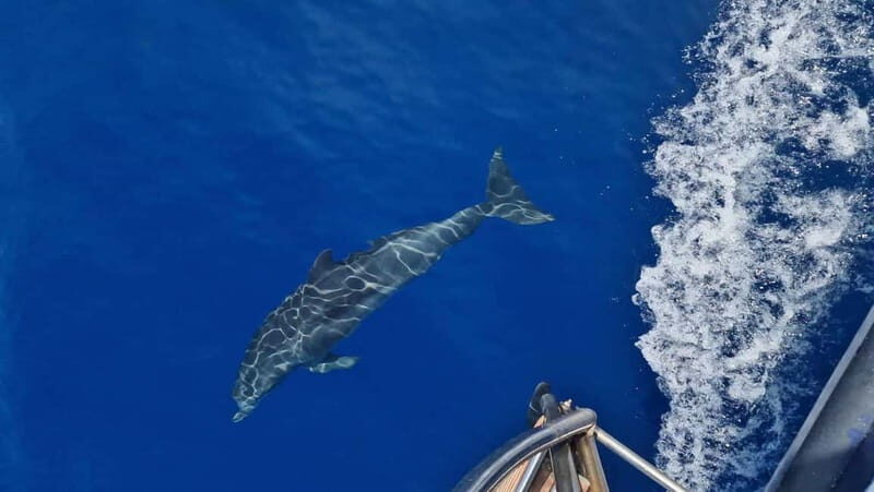 Zakynthos: Shipwreck Beach, Blue Caves & Xigia By Eurosky - Final Thoughts