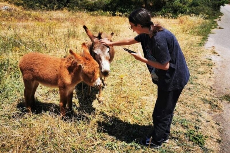 Zakynthos Sunset Tour to Kampi with Greek Night! - A Complete Overview of the Zakynthos Sunset Tour to Kampi
