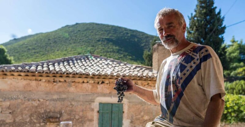 Zakynthos: Vineyard & Winery Tour with Local Winemaker - Pricing & Value Analysis