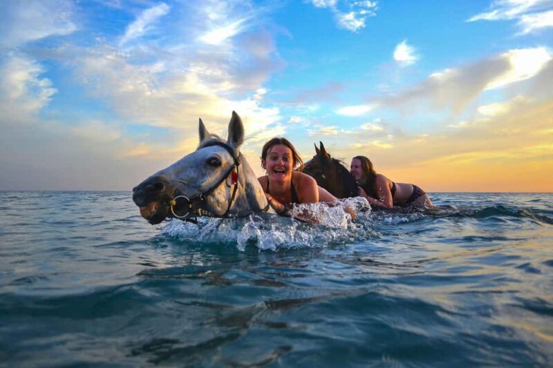 Zakynthos: Yotomu Horse Riding and Swimming Experience - Reviews and Real Traveler Insights