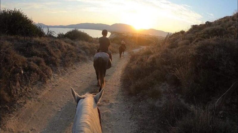 Zakynthos: Yotomu Horse Riding and Swimming Experience - FAQ