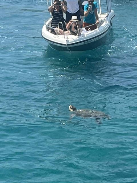 Zakynthos:Cruise Around the Island&Turtles by Eurosky - FAQ