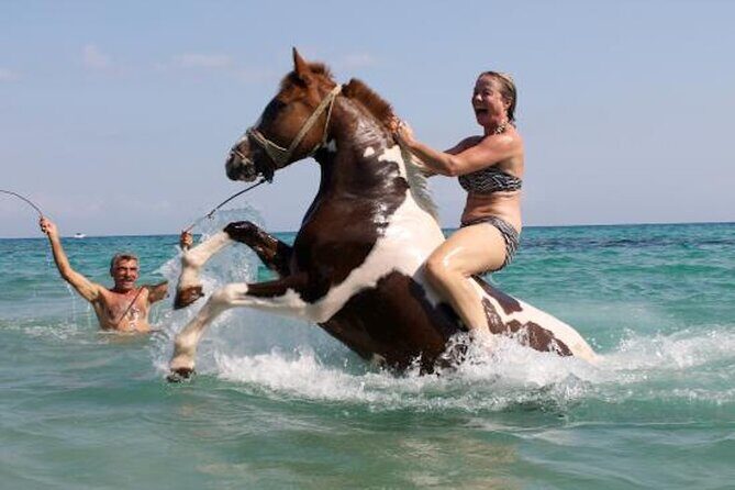Zakytnhos Horse Riding Swimming Experience - Key Points