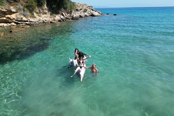 Zakytnhos Horse Riding Swimming Experience - Frequently Asked Questions