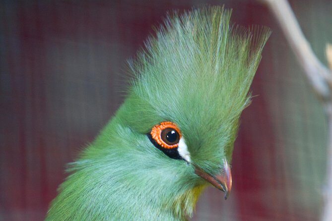 Zaragoza Aquarium Admission Ticket - Who Should Consider Visiting