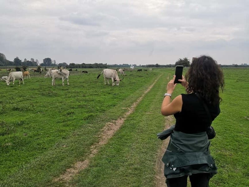 Zasavica Safari Tour - Who Will Love This Tour