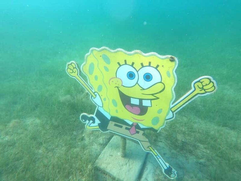 Zaton: Semi-Submarine Tour with Underwater Views - FAQ