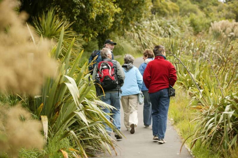 Zealandia by Day Tour - Authentic Insights from Visitors