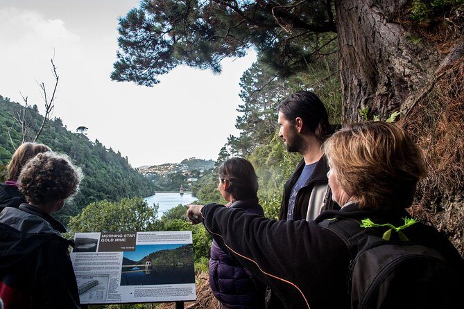 Zealandia - Twilight Guided Eco Wildlife Tour - An In-Depth Look at the Zealandia Twilight Eco Tour