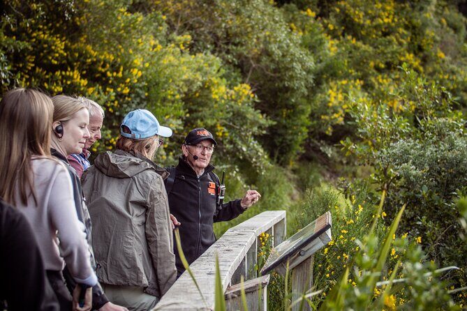 Zealandia - Twilight Guided Eco Wildlife Tour - The Sum Up