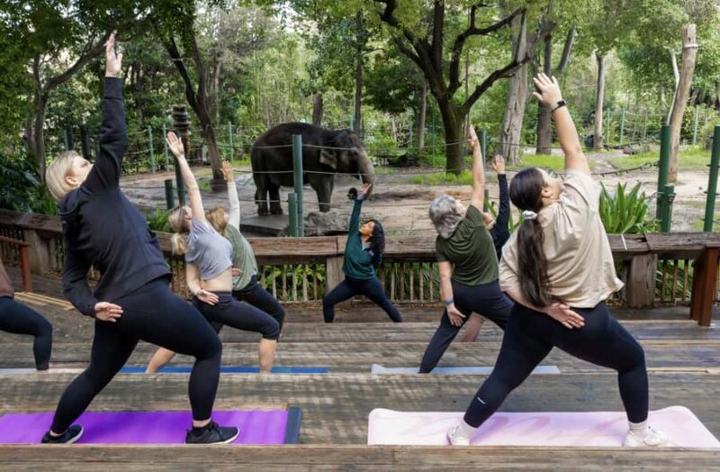 Zen In The Zoo - Key Points