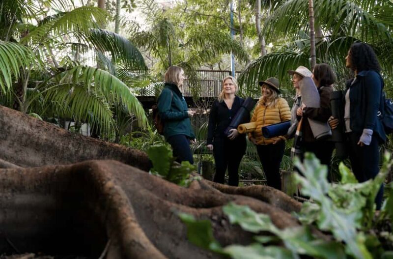 Zen In The Zoo - Final Thoughts