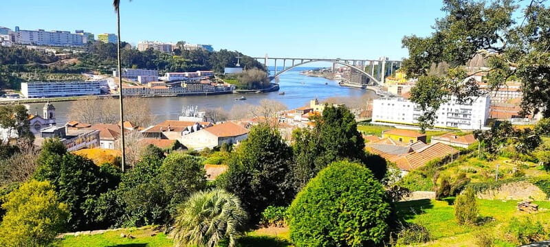 Zen Walking Tour Porto: Find Your Balance 2h - Key Points