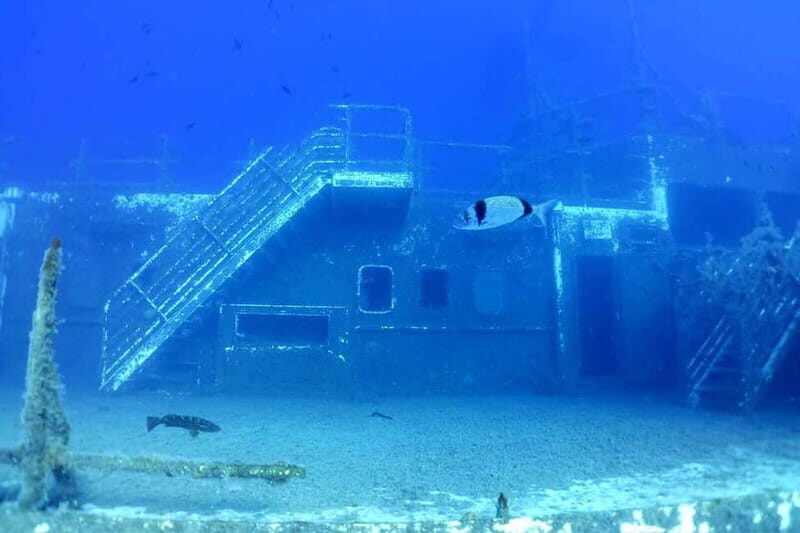 Zenobia Wreck: Private Guided Dive - Introduction to the Experience
