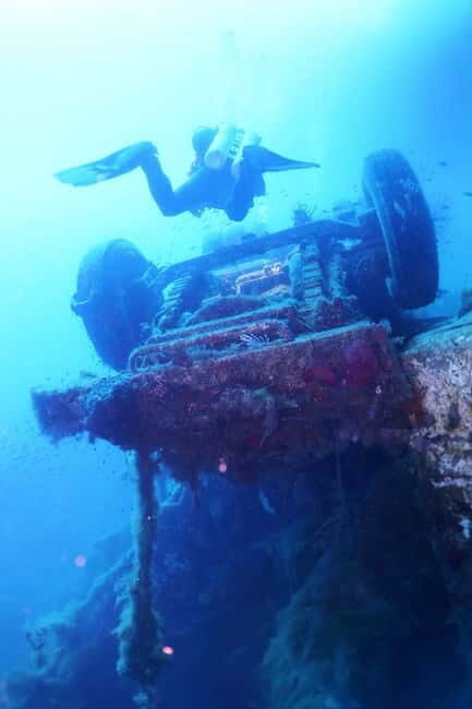 Zenobia Wreck: Private Guided Dive - Insights from Reviews
