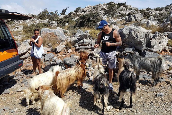 Zeus & Lassithi Plateau, OliveTasting, Kritza, Katharo, Pottery - Who Will Love This Tour?