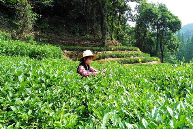 Zhouzhuang Water Village Day Tour - FAQs