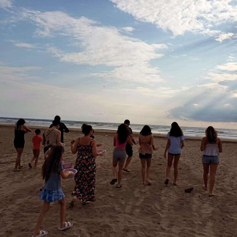 Zihuatanejo, Guerrero: Turtle Release Experience - An In-Depth Look at the Turtle Release Tour