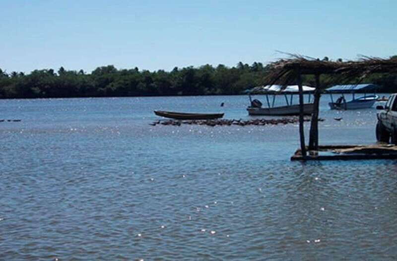 Zihuatanejo Ixtapa: Countryside Tour - A Deep Dive into the Countryside Tour Experience